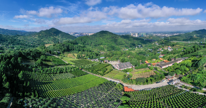 近期有客户问在成都买成都公墓需要什么条件？外地人可以买吗？